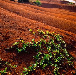 《DOTA2》TI10奖金分配公布 冠军超1820万美元